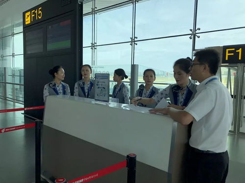 地服公司东区国内客服党支部进行暑运一线突击检查